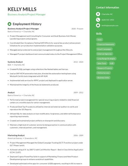 Resume example 5