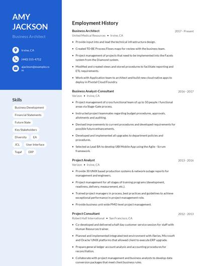 Business Architect Resume