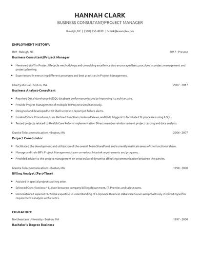 Business Consultant/Project Manager Resume