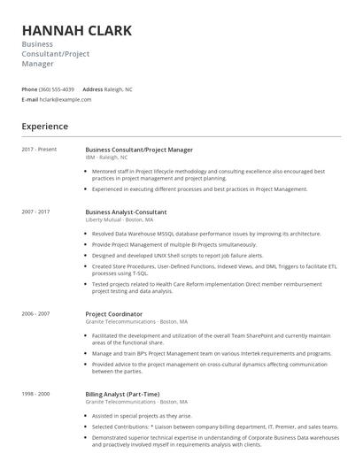 Business Consultant/Project Manager Resume