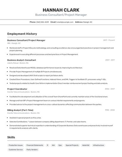 Business Consultant/Project Manager Resume