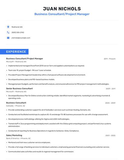 Business Consultant/Project Manager Resume