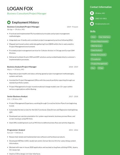 Business Consultant/Project Manager Resume