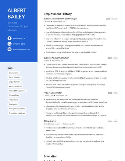 Business Consultant/Project Manager Resume