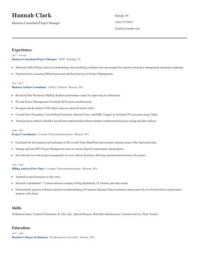 Business Consultant/Project Manager Resume