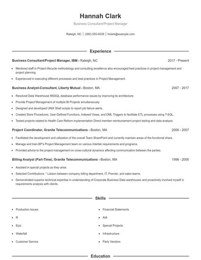 Business Consultant/Project Manager Resume