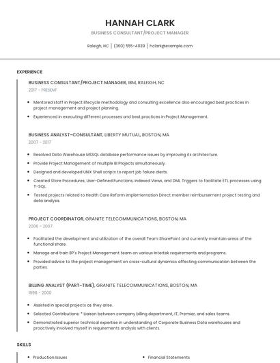Business Consultant/Project Manager Resume