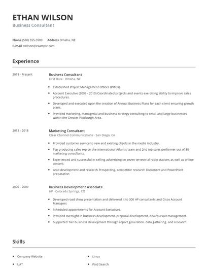 Business Consultant Resume