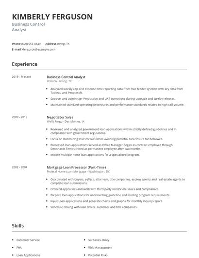 Business Control Analyst Resume