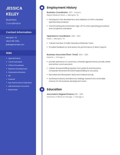 Resume example 4