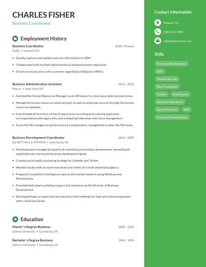 Resume example 5