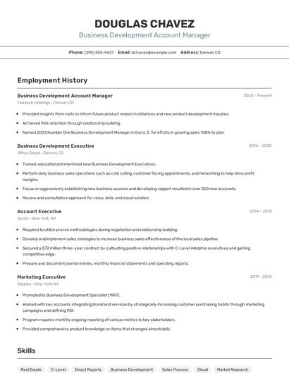Business Development Account Manager Resume