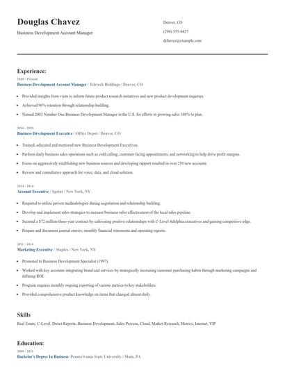 Business Development Account Manager Resume