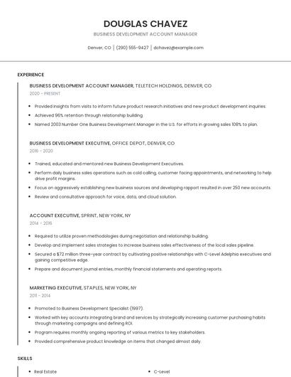 Business Development Account Manager Resume