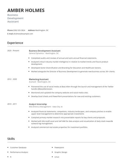 Business Development Assistant Resume