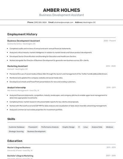 Business Development Assistant Resume