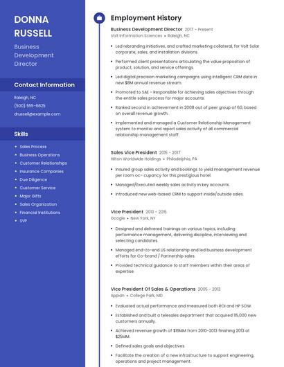 Business Development Director Resume