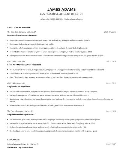 Business Development Director Resume