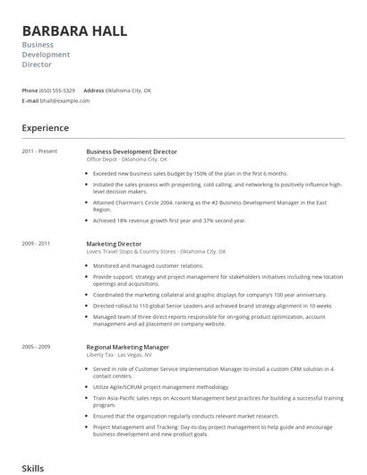 Business Development Director Resume
