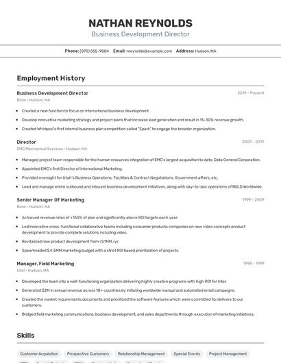 Business Development Director Resume