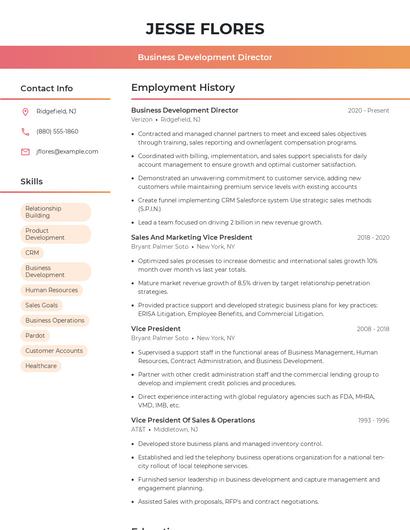 Business Development Director Resume