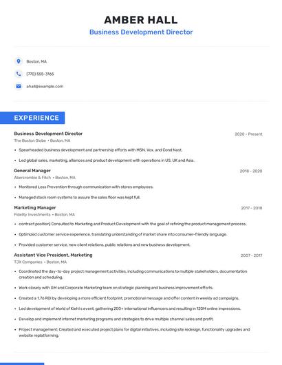 Business Development Director Resume