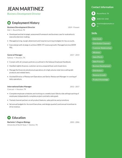 Business Development Director Resume