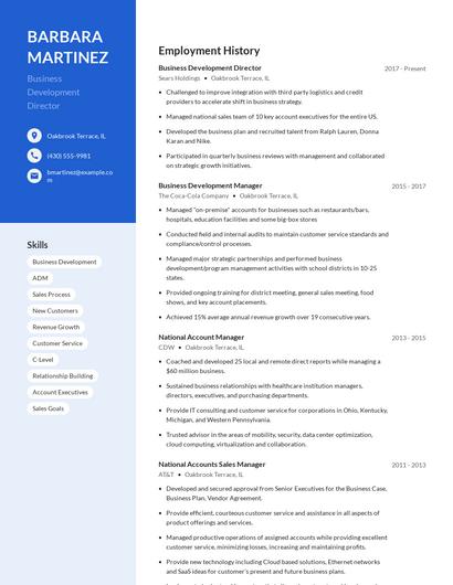 Business Development Director Resume