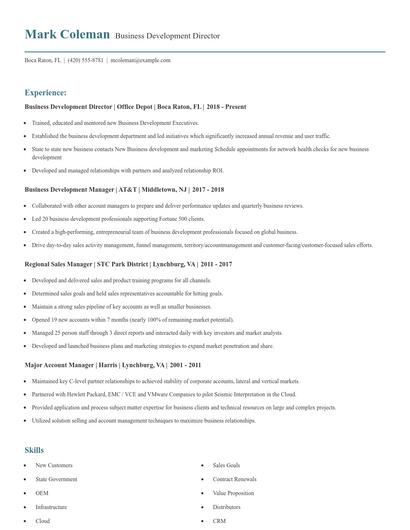 Business Development Director Resume