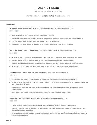 Business Development Director Resume
