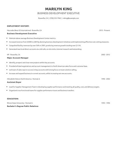 Business Development Executive Resume