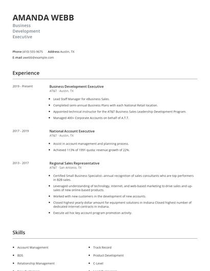 Business Development Executive Resume
