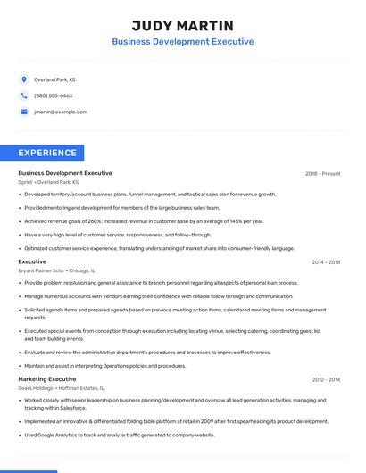 Business Development Executive Resume
