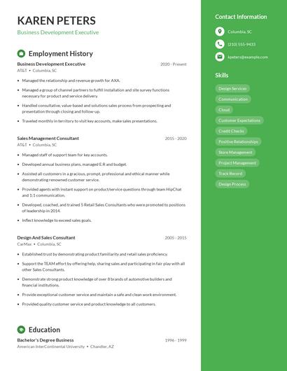 Resume example 4