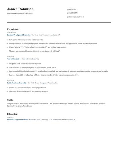 Business Development Executive Resume