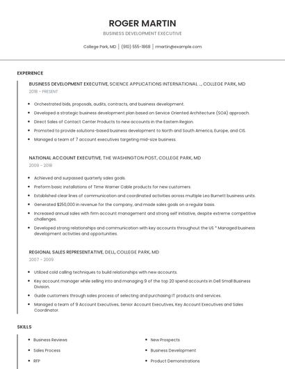 Business Development Executive Resume