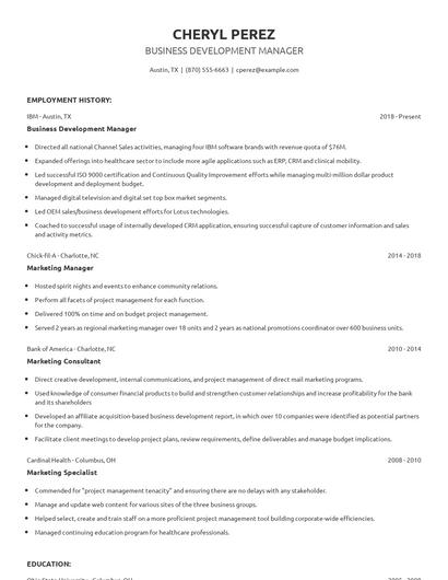 Business Development Manager Resume