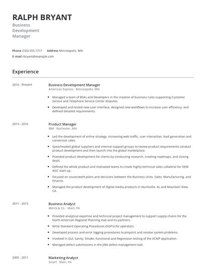 Business Development Manager Resume