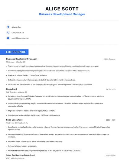 Business Development Manager Resume
