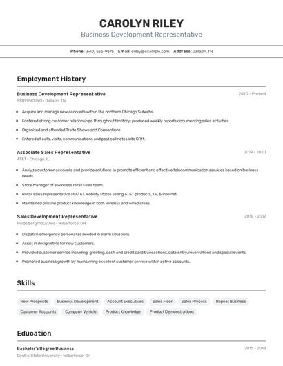 Resume example 2