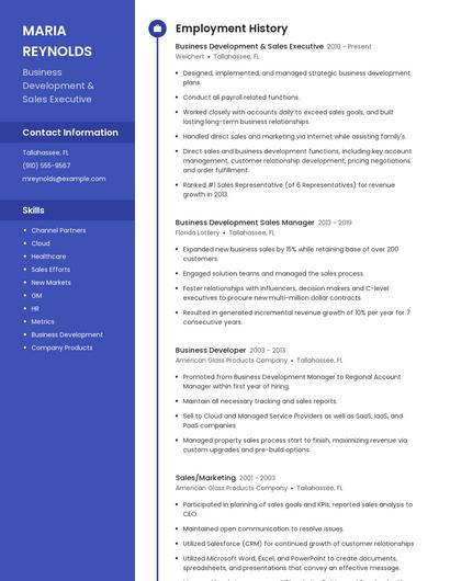 Business Development & Sales Executive Resume