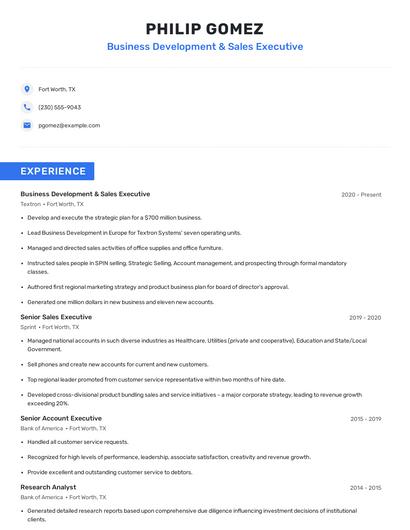 Business Development & Sales Executive Resume