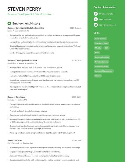 Business Development & Sales Executive Resume