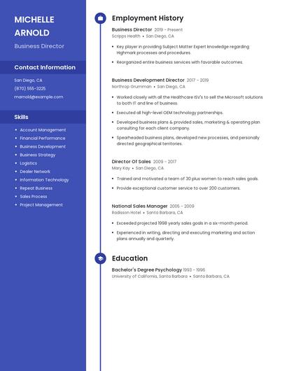 Business Director Resume