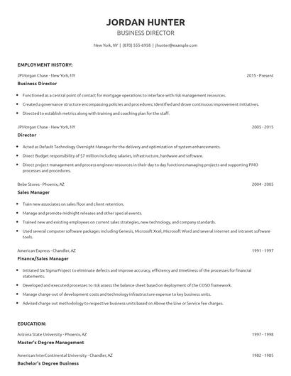 Business Director Resume