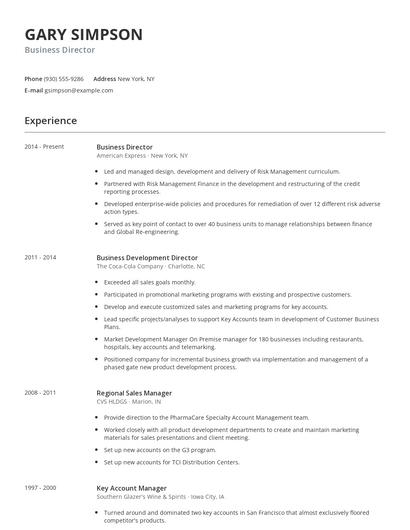 Business Director Resume