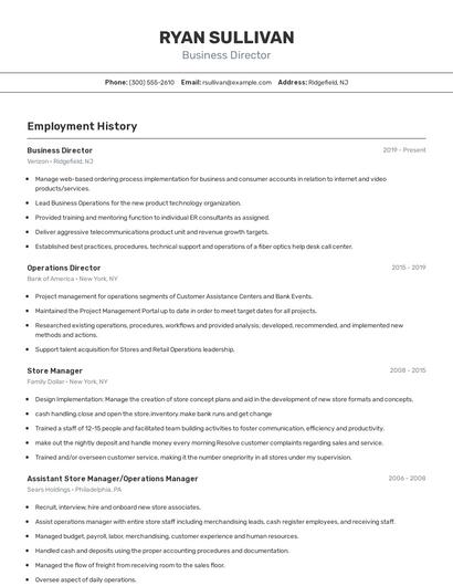 Business Director Resume