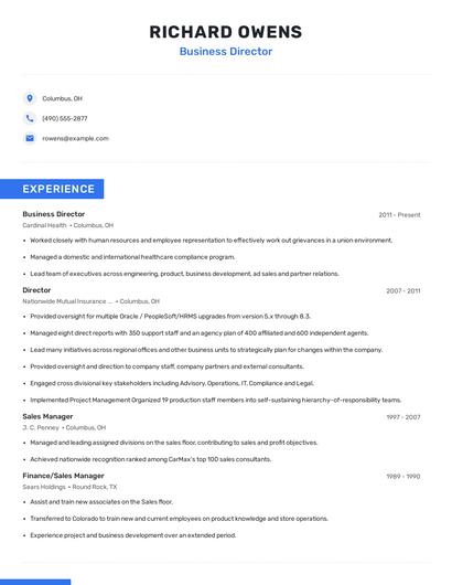 Business Director Resume