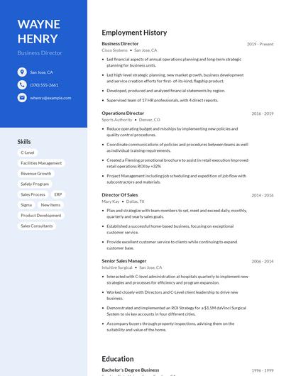 Business Director Resume