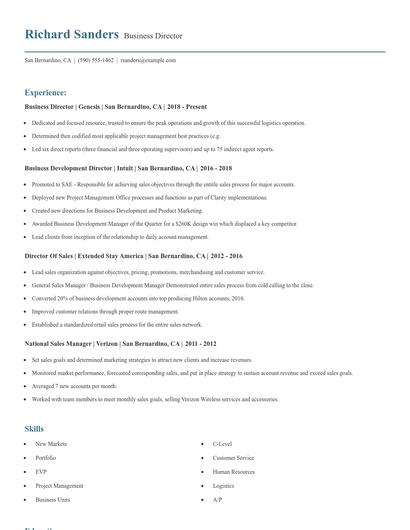 Business Director Resume